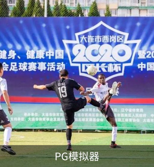 PG模拟器概况